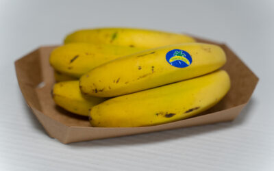 ¿Sabías que el packaging alimentario de cartón es la opción más ecológica?