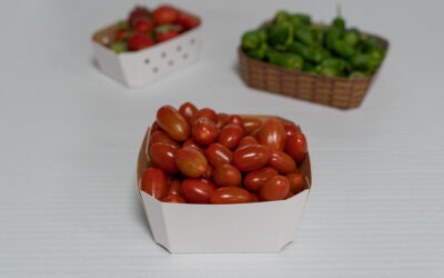 4 tendencias del packaging de producto en 2020. Parte I