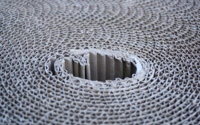 Consejos a la hora de invertir en packaging sostenible.