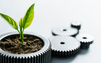 ¿Qué significa ser una imprenta sostenible y responsable?