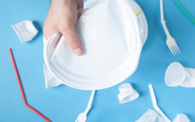 ¿Cómo sustituir el plástico por opciones más sostenibles? Parte II