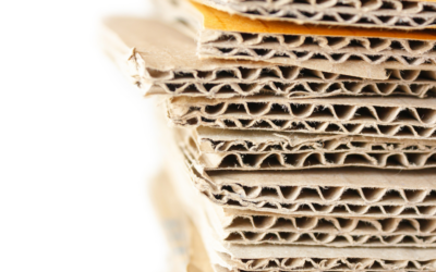 Medio ambiente y papel: qué debes saber sobre la industria